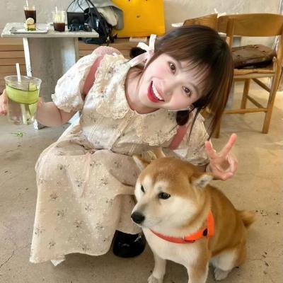 圣诞快乐颂